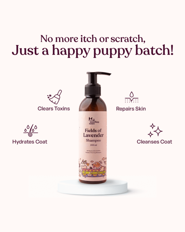 Fields of Lavender - Dog Shampoo - Image 6