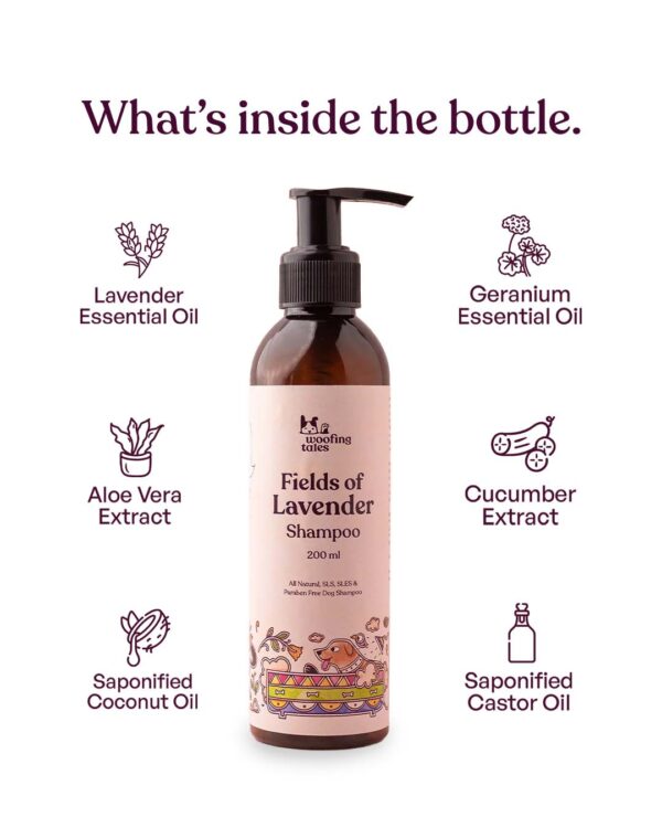 Fields of Lavender - Dog Shampoo - Image 4