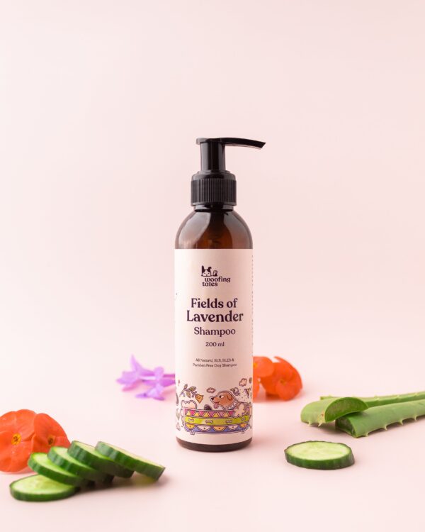 Fields of Lavender - Dog Shampoo - Image 7