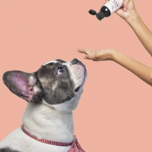 The Ultimate Guide to Choosing the Best Dog Shampoo in India