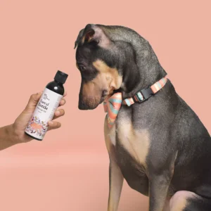 The Ultimate Guide to Choosing Dog Shampoo & Grooming Products in India: Avoid These Common Mistakes!